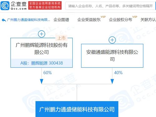 鵬輝能源參股成立儲能科技新公司，注冊資本達1億元，拓展信息系統集成服務